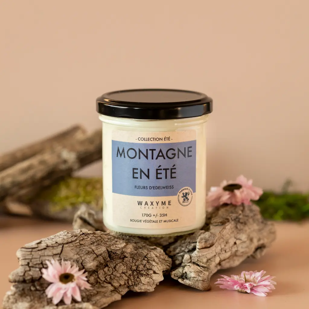 Montagne en été 5.webp
