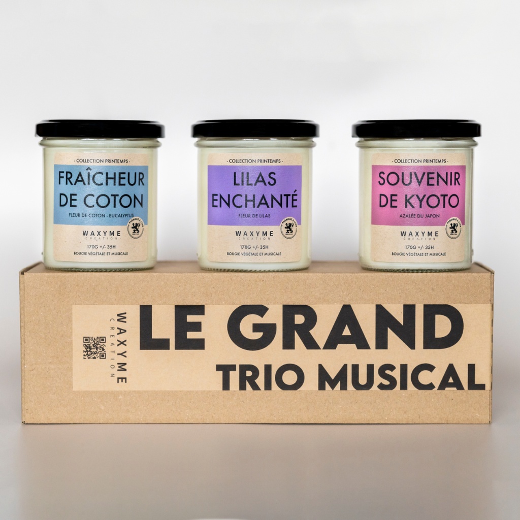 Le Grand Trio Musical (🍊 Délice d'orange, 🍊 Délice d'orange, 🍊 Délice d'orange)