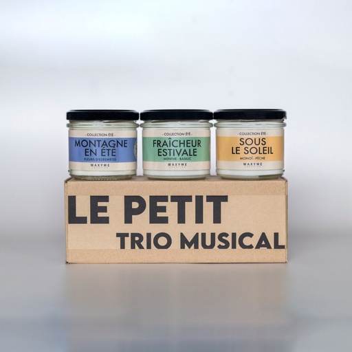 Le Petit Trio Musical