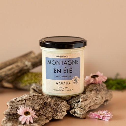 Montagne en été