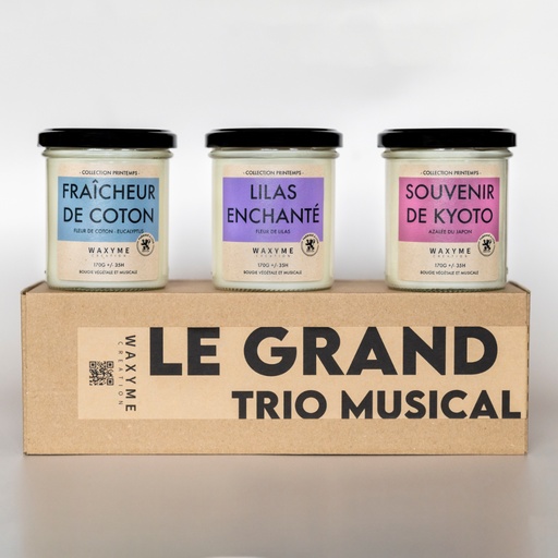 Le Grand Trio Musical