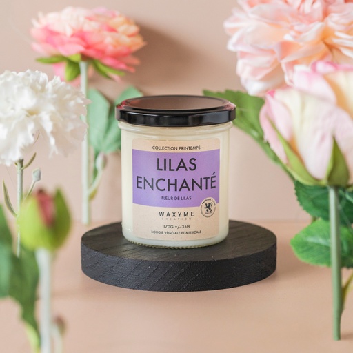 Lilas Enchanté